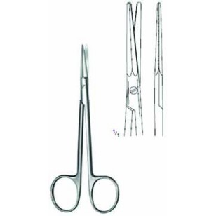 Plastic Surgery Scissor